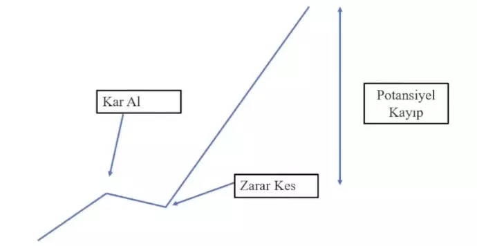 Borsada Zarar Kes, Kar Al