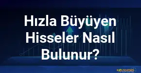 Hızla Büyüyen Hisseler Nasıl Bulunur?