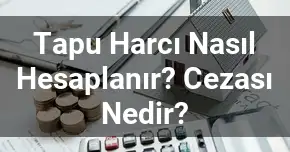 Tapu Harcı Nasıl Hesaplanır? Cezası Nedir?