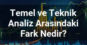 Temel ve Teknik Analiz Arasındaki Fark Nedir?